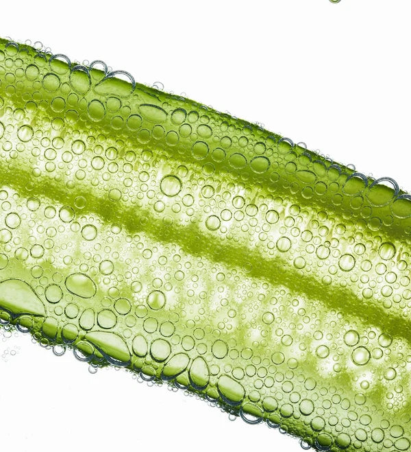 Aloe Vera Extract